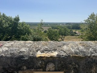 Met de Cadillac naar Château Gort & Gort: via Saint-Émilion naar de bijzondere Trois Mille wijn - afbeelding 12