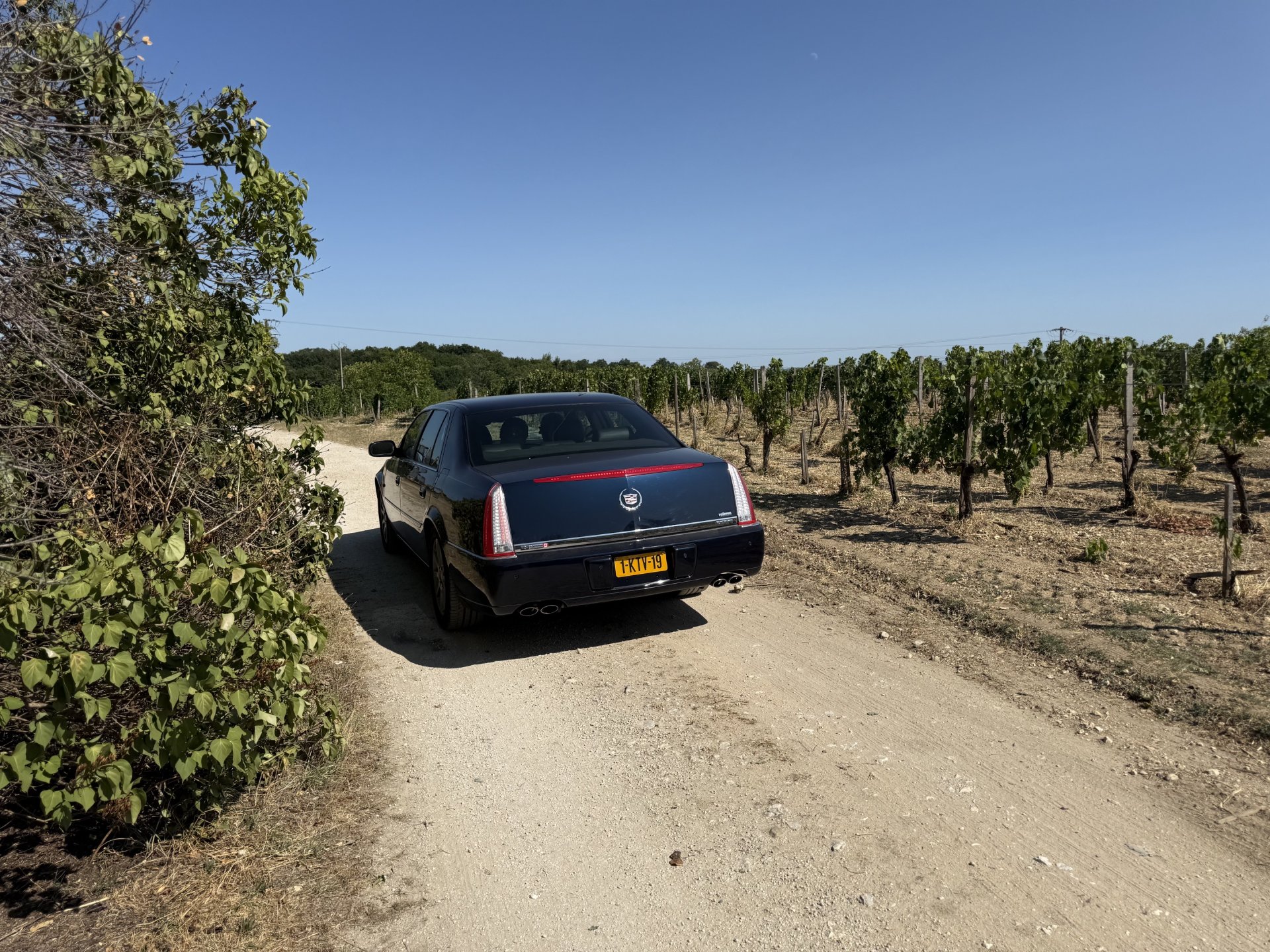 Met de Cadillac naar Château Gort & Gort: via Saint-Émilion naar de bijzondere Trois Mille wijn - afbeelding 13